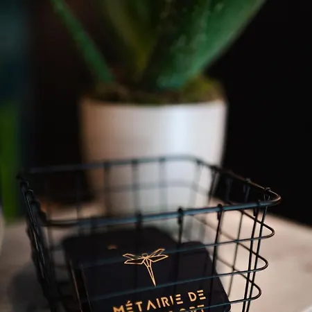 La Metairie De Terrefort 4* Bouliac